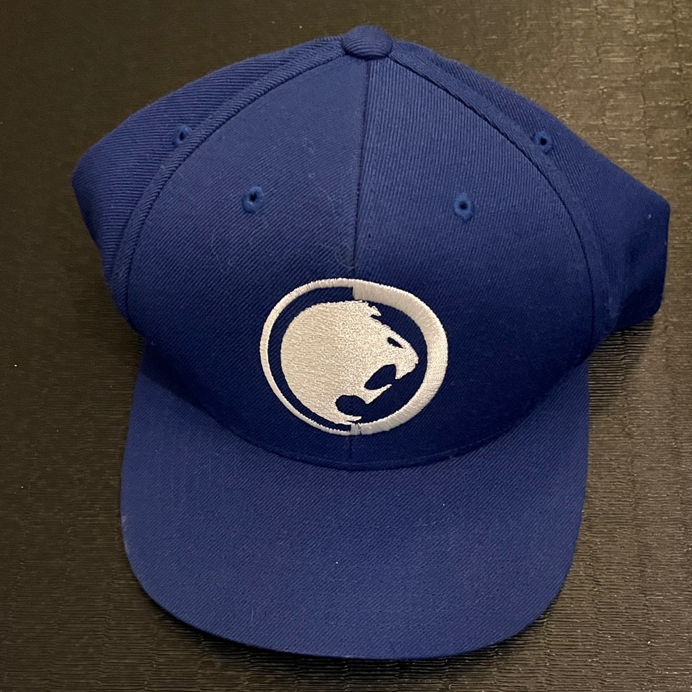 Renzo Gracie Blue BJJ Hat OS
